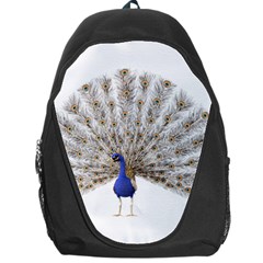 Peacock Colorful Bird Feather Blue Backpack Bag