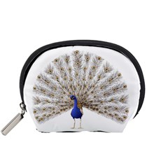 Peacock Colorful Bird Feather Blue Accessory Pouch (Small)