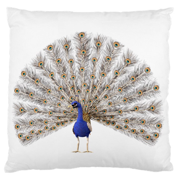 Peacock Colorful Bird Feather Blue Large Flano Cushion Case (One Side)