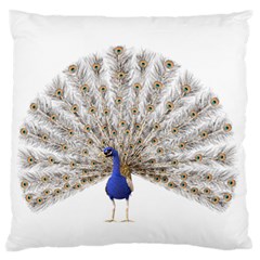 Peacock Colorful Bird Feather Blue Large Flano Cushion Case (Two Sides)