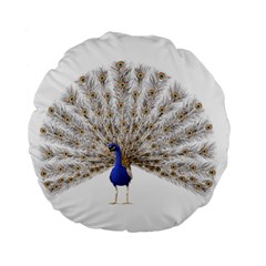 Peacock Colorful Bird Feather Blue Standard 15  Premium Flano Round Cushions