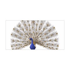 Peacock Colorful Bird Feather Blue Yoga Headband