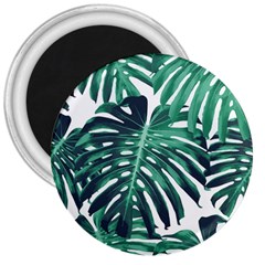 Green Monstera leaves 3  Magnets