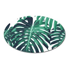 Green Monstera leaves Oval Magnet