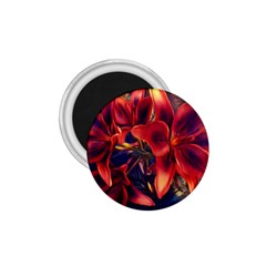 Red Lillies Bloom Flower Plant 1 75  Magnets by Pakrebo