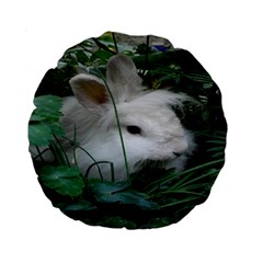 Adorable White Bunny Rabbit Standard 15  Premium Round Cushions