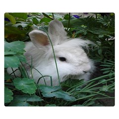 Adorable White Bunny Rabbit Double Sided Flano Blanket (small)  by SimplyNature