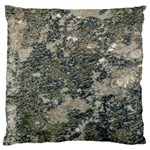 Grunge Camo Print Design Standard Flano Cushion Case (Two Sides) Front