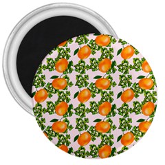 Citrus Tropical Orange Pink 3  Magnets by snowwhitegirl