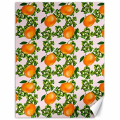 Citrus Tropical Orange Pink Canvas 18  X 24  by snowwhitegirl