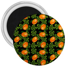 Citrus Tropical Orange Black 3  Magnets by snowwhitegirl