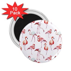 Pink flamingos 2.25  Magnets (10 pack) 