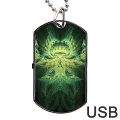 Fractal Jwildfire Scifi Dog Tag Usb Flash (one Side) by Pakrebo