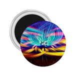 Colorful Chakra Lsd Spirituality 2.25  Magnets Front