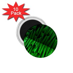 Fractal Rendering Background Green 1 75  Magnets (10 Pack)  by Pakrebo