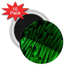 Fractal Rendering Background Green 2 25  Magnets (10 Pack)  by Pakrebo