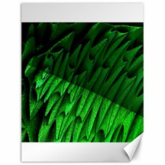 Fractal Rendering Background Green Canvas 12  X 16  by Pakrebo