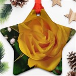 Yellow Rose Ornament (Star) Front