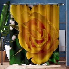 Yellow Rose Shower Curtain 60  x 72  (Medium) 