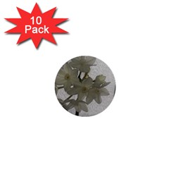 Paperwhite 1  Mini Buttons (10 Pack)  by Riverwoman