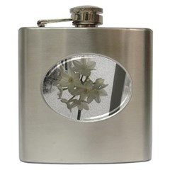 Paperwhite Hip Flask (6 Oz)