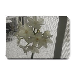 Paperwhite Small Doormat 