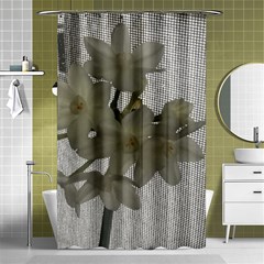 Paperwhite Shower Curtain 48  X 72  (small)  by Riverwoman