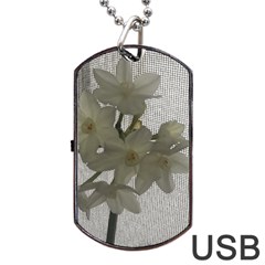 Paperwhite Dog Tag Usb Flash (one Side) by Riverwoman