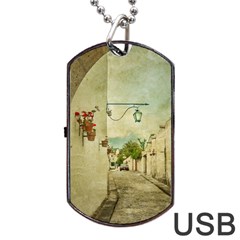 Vintage Grunge Print Arequipa Street, Peru Dog Tag Usb Flash (one Side) by dflcprintsclothing