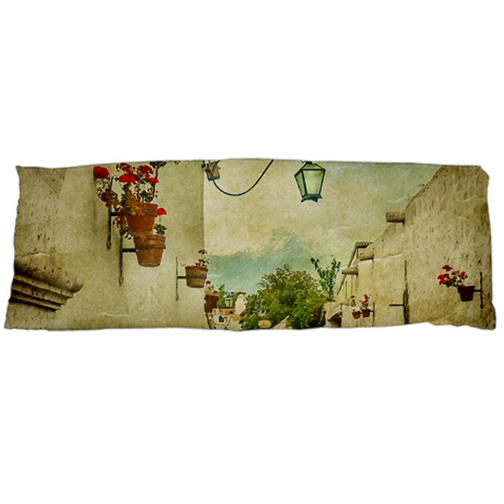 Vintage Grunge Print Arequipa Street, Peru Body Pillow Case (Dakimakura)