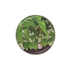 Garden Of The Phoenix  Hat Clip Ball Marker (4 Pack) by Riverwoman