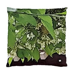 Garden Of The Phoenix  Standard Cushion Case (one Side) by Riverwoman