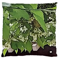 Garden Of The Phoenix  Standard Flano Cushion Case (two Sides) by Riverwoman