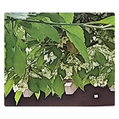 Garden Of The Phoenix  Double Sided Flano Blanket (small)  by Riverwoman