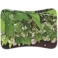 Garden Of The Phoenix  Velour Seat Head Rest Cushion by Riverwoman