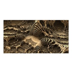 Fractal Bones Cave Fossil Render Satin Shawl