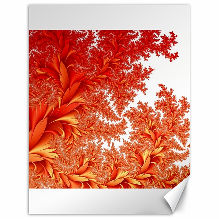 Flora Flowers Background Leaf Canvas 12  x 16 