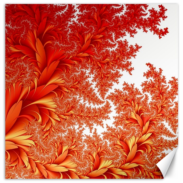 Flora Flowers Background Leaf Canvas 20  x 20 