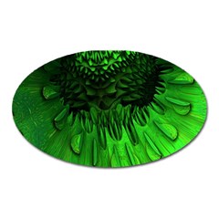 Fractal Rendering Background Green Oval Magnet by Pakrebo