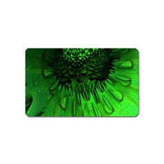 Fractal Rendering Background Green Magnet (name Card) by Pakrebo