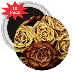 Roses Flowers Love Red Plant 3  Magnets (10 Pack)  by Pakrebo