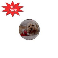 Cockapoo In Dog s Bed 1  Mini Magnet (10 Pack)  by pauchesstore