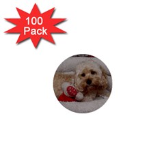 Cockapoo In Dog s Bed 1  Mini Buttons (100 Pack) 