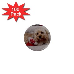 Cockapoo In Dog s Bed 1  Mini Magnets (100 Pack)  by pauchesstore