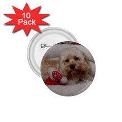 Cockapoo In Dog s Bed 1 75  Buttons (10 Pack) by pauchesstore