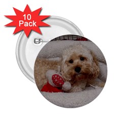 Cockapoo In Dog s Bed 2 25  Buttons (10 Pack) 