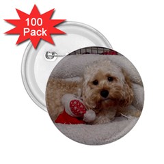 Cockapoo In Dog s Bed 2 25  Buttons (100 Pack) 