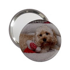 Cockapoo In Dog s Bed 2 25  Handbag Mirrors by pauchesstore