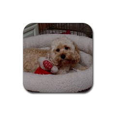 Cockapoo In Dog s Bed Rubber Coaster (square) 