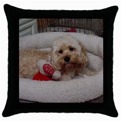 Cockapoo In Dog s Bed Throw Pillow Case (black) by pauchesstore